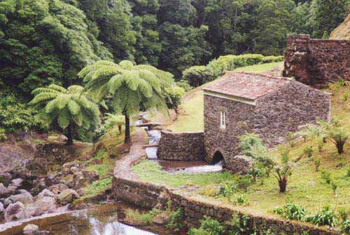 20 km hinter Gorreana führt die Straße durch eine grüne Talschlucht. Mit einem Wasserfall, prächtigen Farnbäumen und einer alten Mühle.