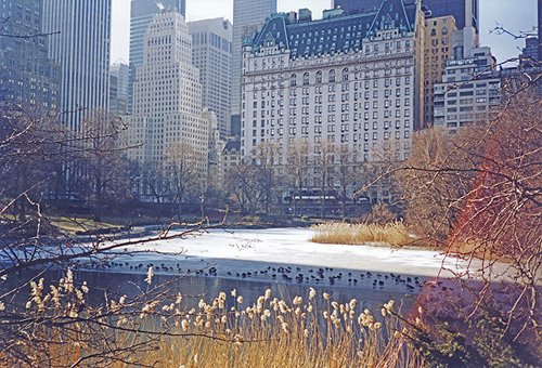 Central Park und Plaza Hotel