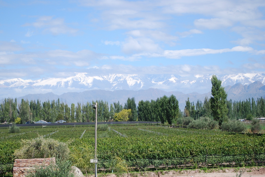 Mendoza Weinregion - Argentinien