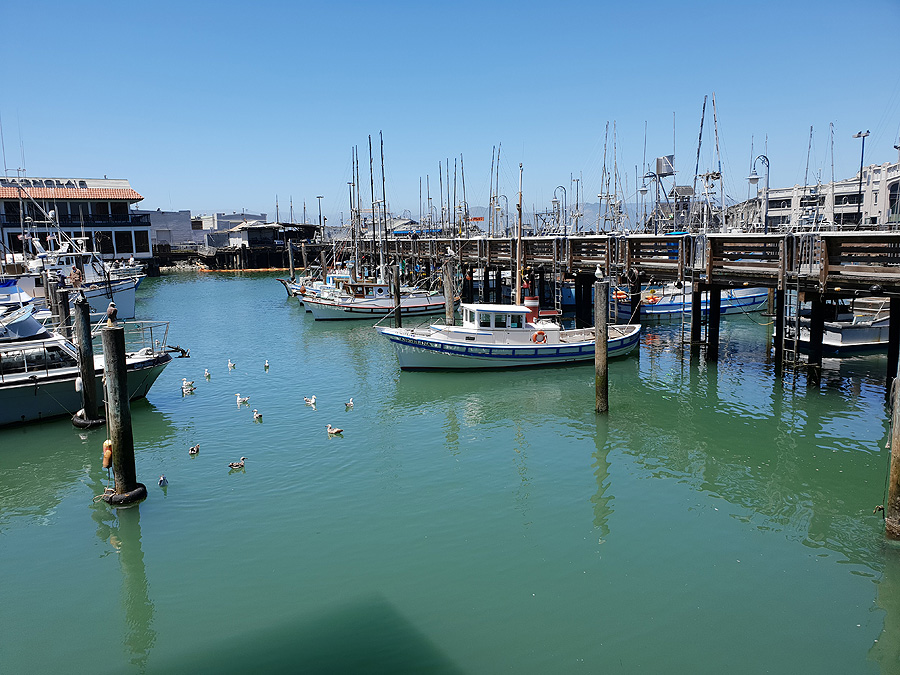 Fisherman's Wharf und San Francisco Marina